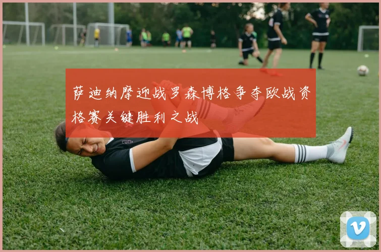 萨迪纳摩迎战罗森博格争夺欧战资格赛关键胜利之战