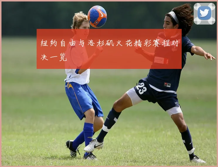 纽约自由与洛杉矶火花精彩赛程对决一览