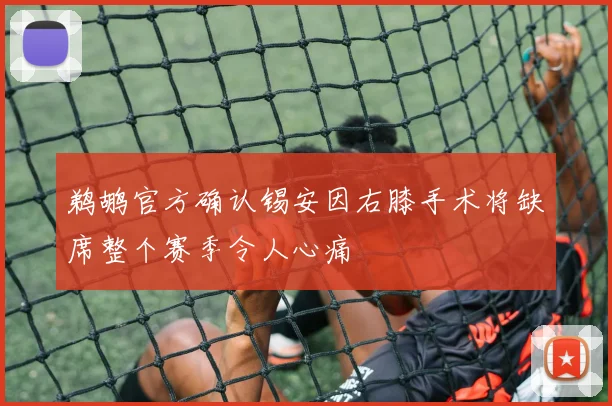 鹈鹕官方确认锡安因右膝手术将缺席整个赛季令人心痛