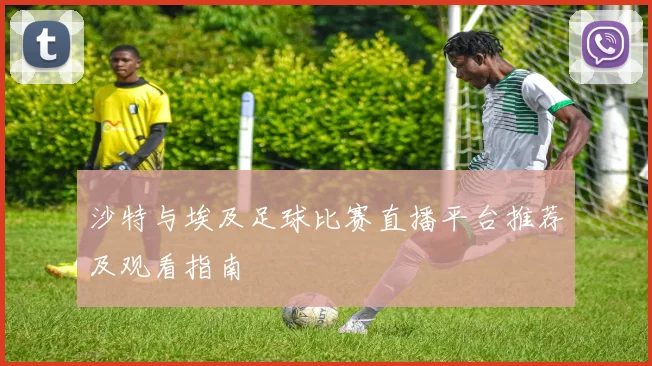 沙特与埃及足球比赛直播平台推荐及观看指南