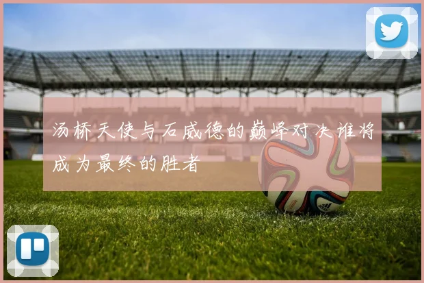汤桥天使与石威德的巅峰对决谁将成为最终的胜者