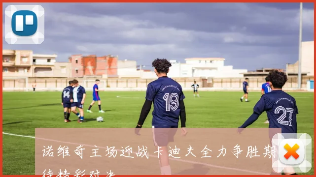 诺维奇主场迎战卡迪夫全力争胜期待精彩对决