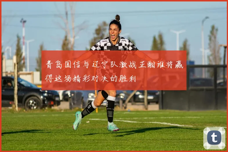 青岛国信与辽宁队激战正酣谁将赢得这场精彩对决的胜利