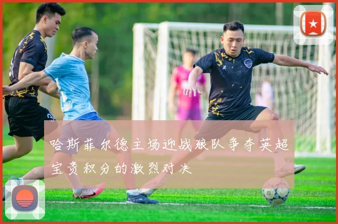 哈斯菲尔德主场迎战狼队争夺英超宝贵积分的激烈对决