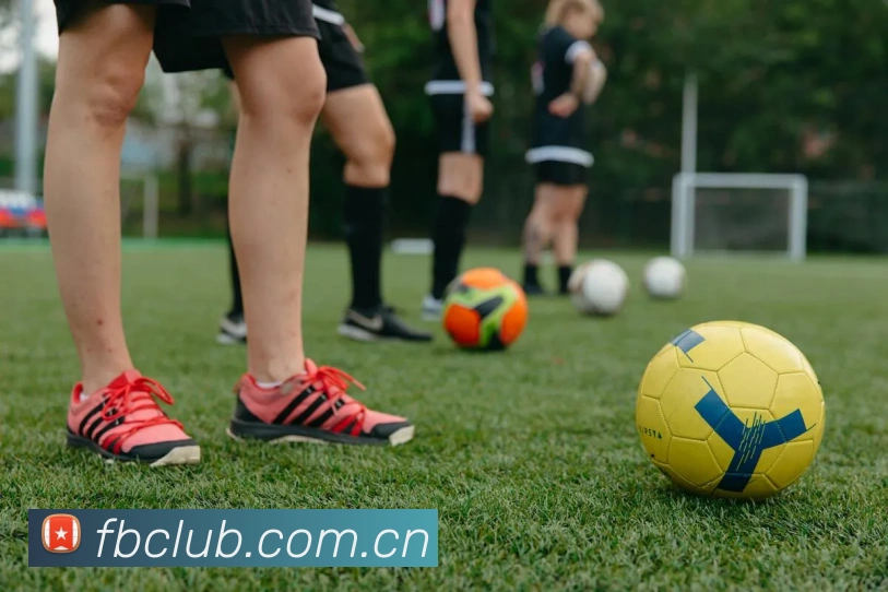 FB体育品牌故事